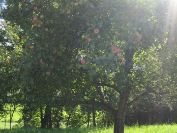 f0229725_034125.jpg