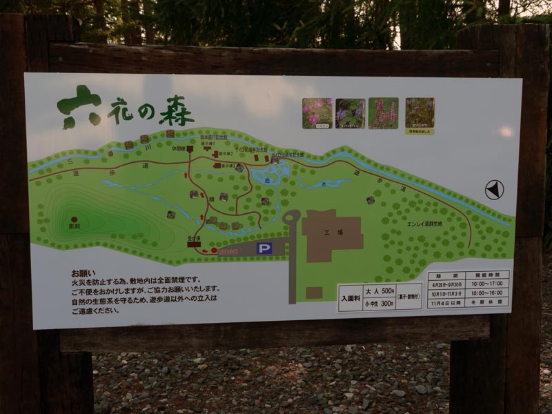 c0208328_644818.jpg