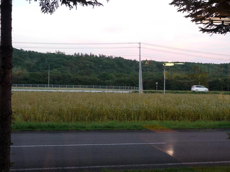 c0208328_6464675.jpg