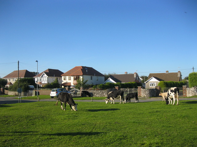 d0145528_0571575.jpg