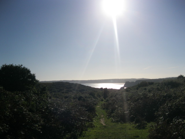 d0145528_112132.jpg