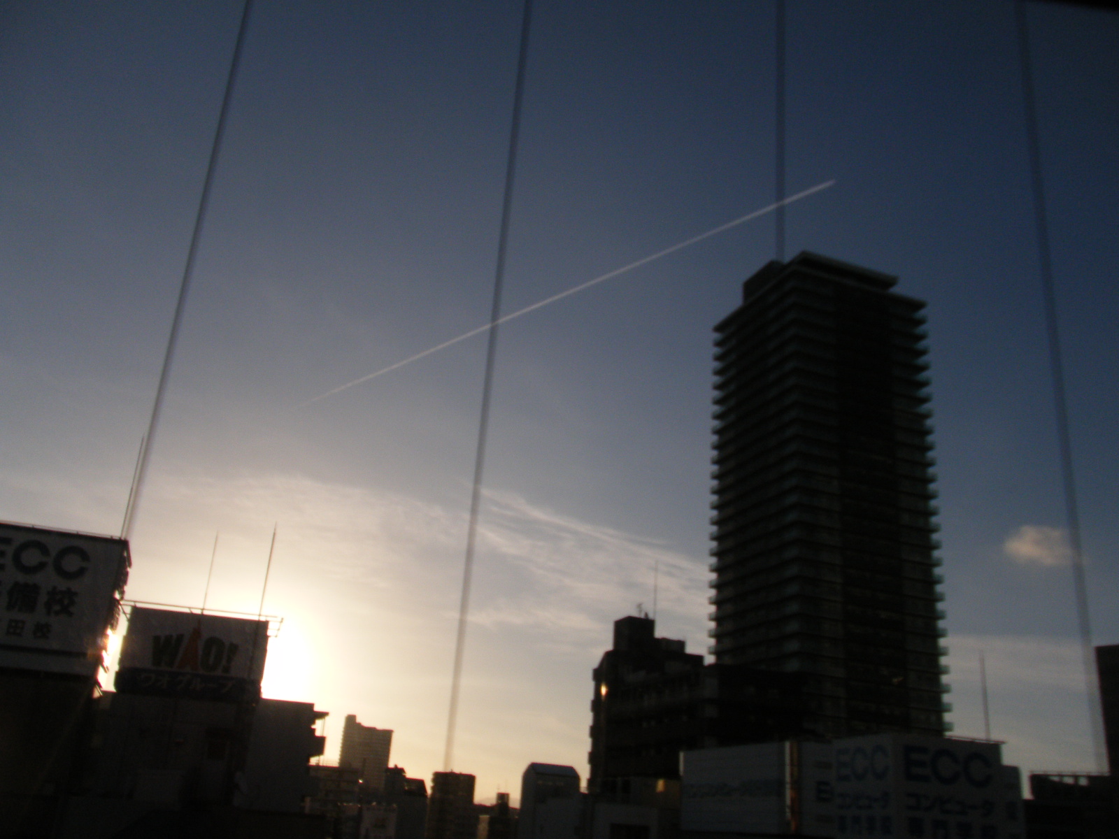 a0105730_928371.jpg
