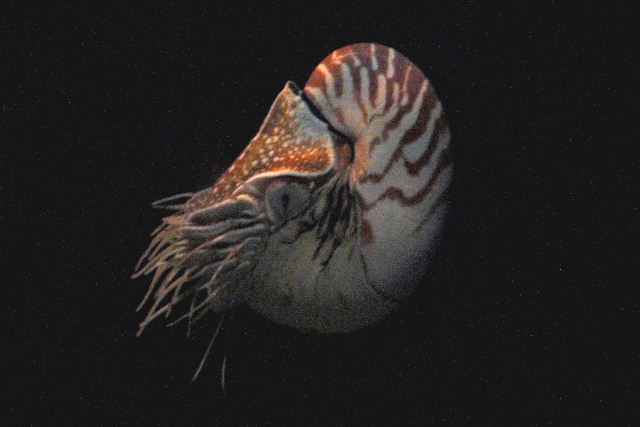 e0064133_234386.jpg