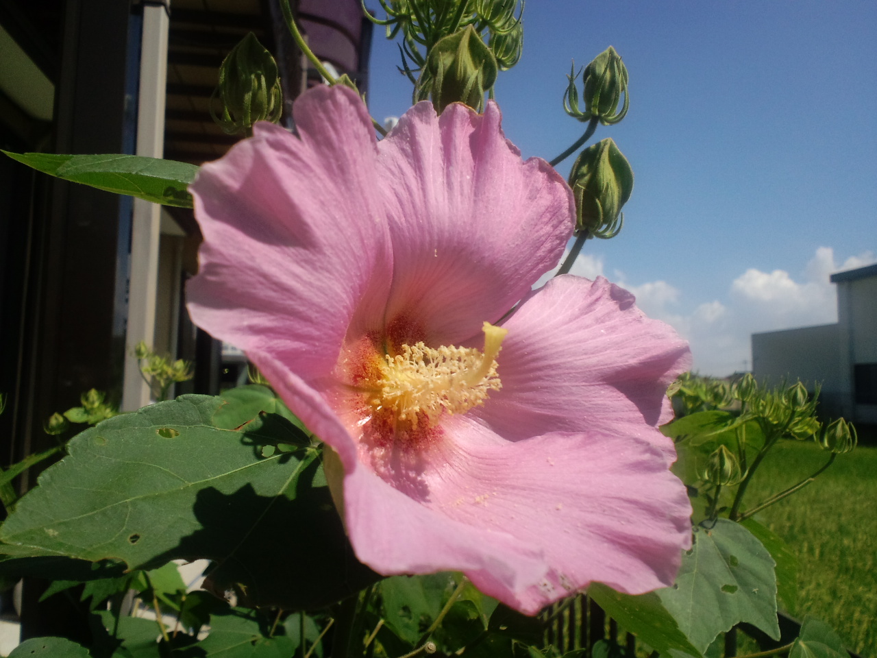 b0076739_3484116.jpg