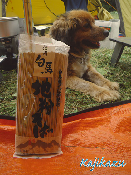 a0166940_21345830.jpg