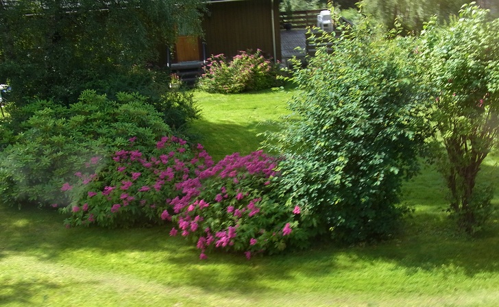 b0155640_23275631.jpg
