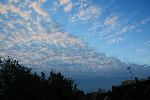 c0153740_2351592.jpg
