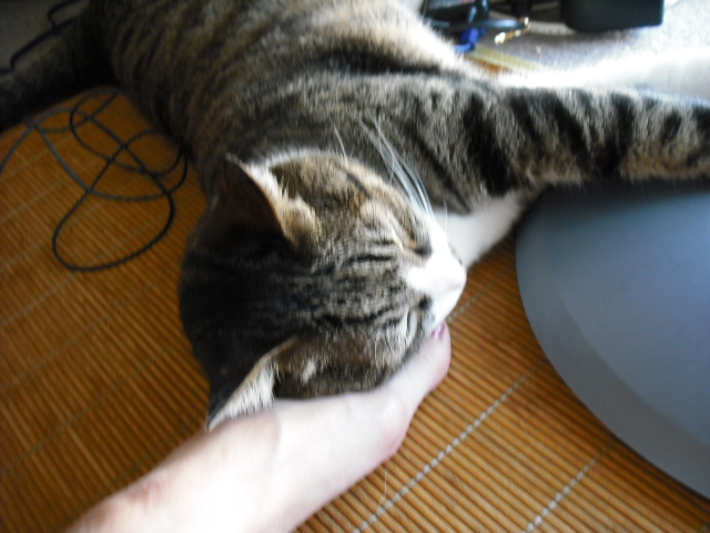 c0194042_21564082.jpg