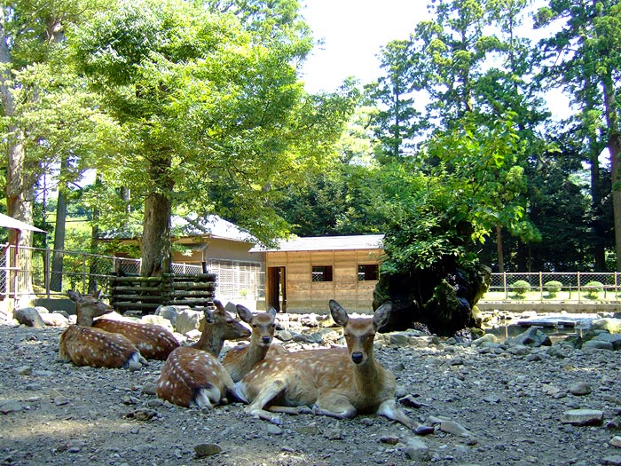 e0006242_10304294.jpg
