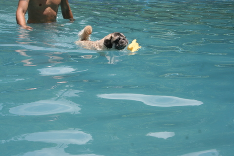 e0018143_157050.jpg