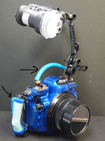 c0109447_22465021.jpg