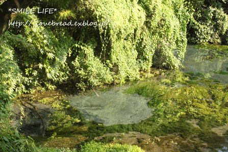 e0182147_7292654.gif