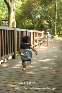 e0182147_7301713.gif