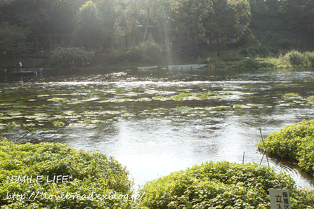 e0182147_7303894.gif
