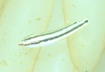 e0065350_23132721.jpg