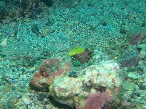 e0065350_23174732.jpg