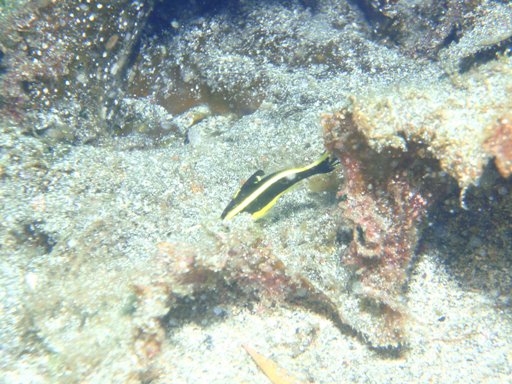 e0065350_23203045.jpg