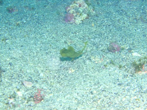 e0065350_2322146.jpg