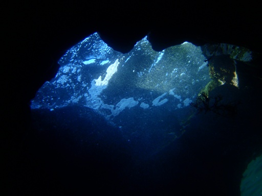 e0065350_23254036.jpg