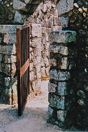 e0156251_022055.jpg
