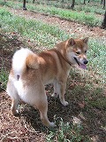 f0234452_0422662.jpg