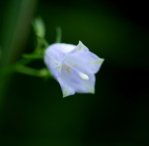 d0091754_22433124.jpg