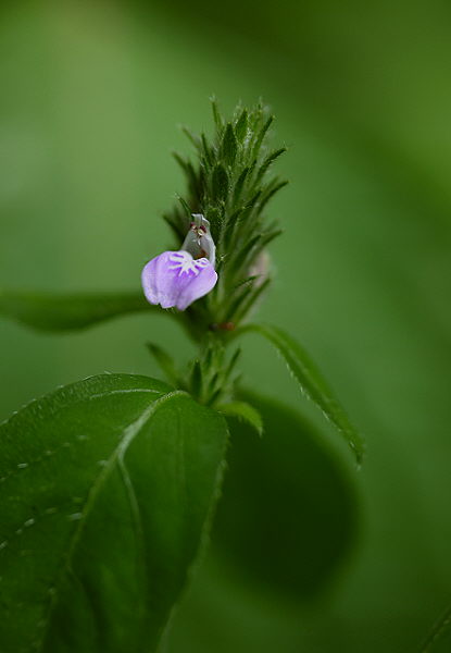 d0091754_23161782.jpg