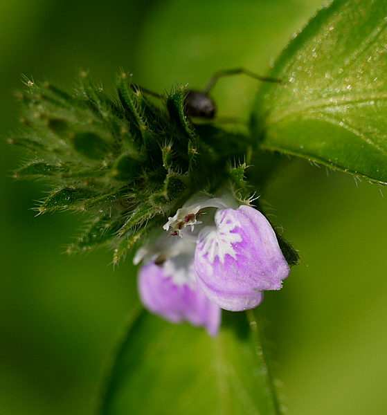 d0091754_23163678.jpg