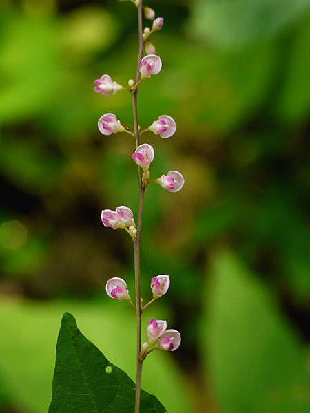 d0091754_23301347.jpg