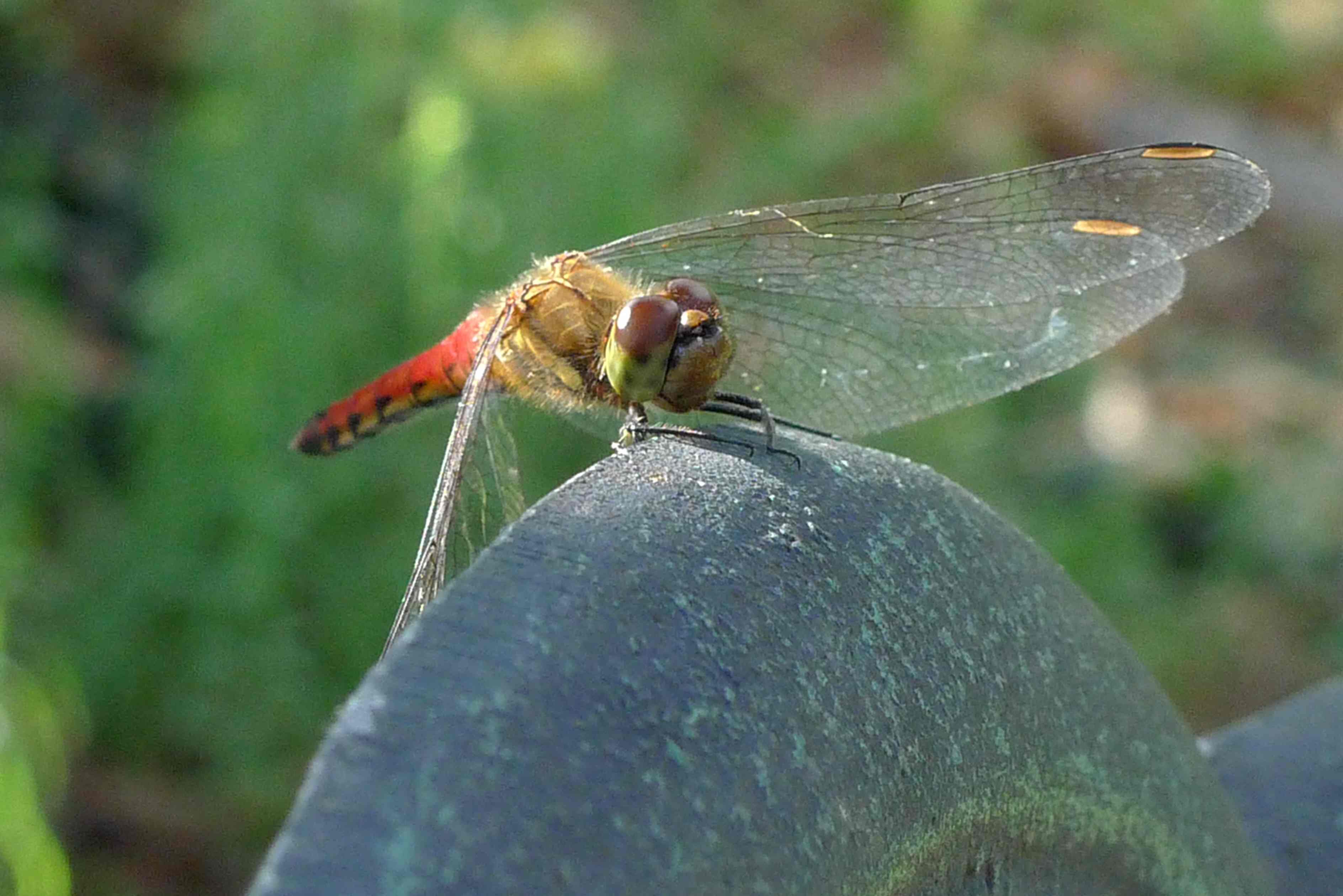 c0157756_10223643.jpg