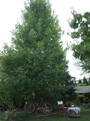 d0111558_14322244.jpg