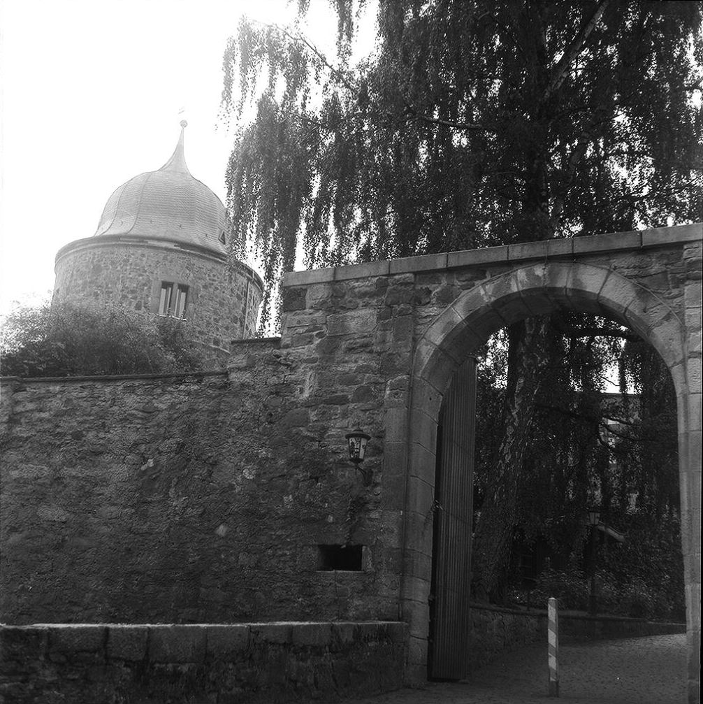 e0134658_1649.jpg