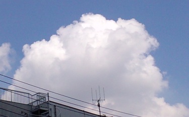 f0156159_1736295.jpg