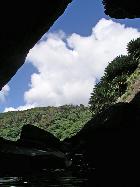 b0062363_19325275.jpg