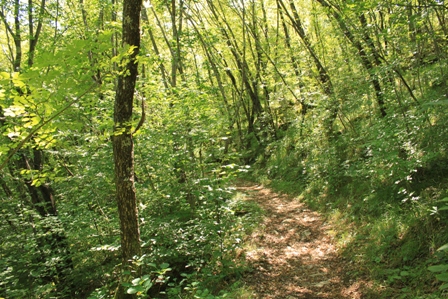a0154765_051088.jpg
