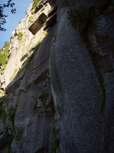 b0050067_125183.jpg