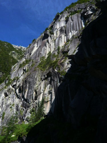 b0050067_22133168.jpg