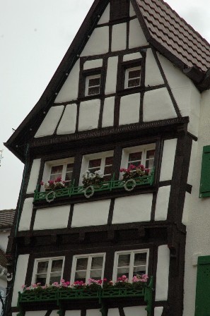 b0167367_433039.jpg