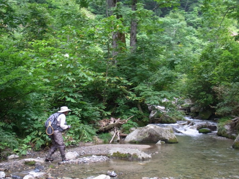c0198267_98128.jpg