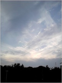 a0050669_213074.jpg