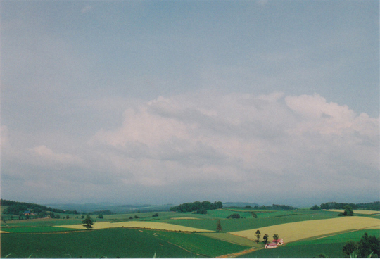 a0127070_23555854.jpg