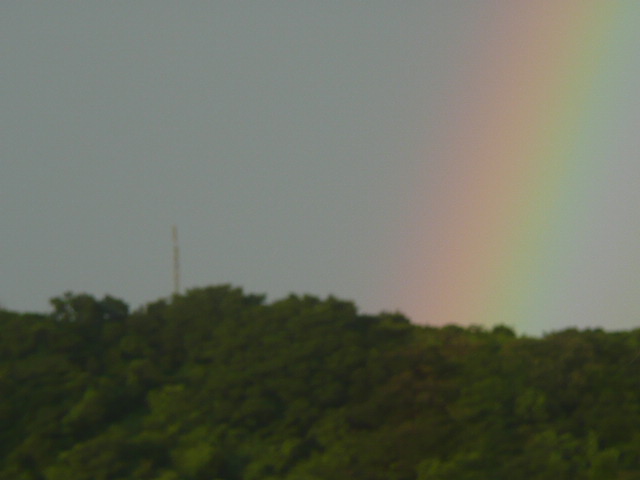 a0154870_12383626.jpg