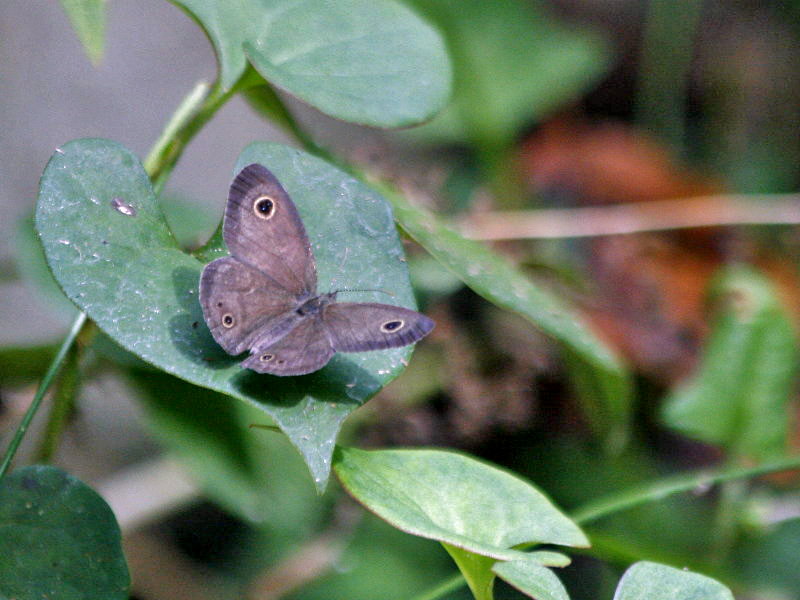 f0181173_20545016.jpg