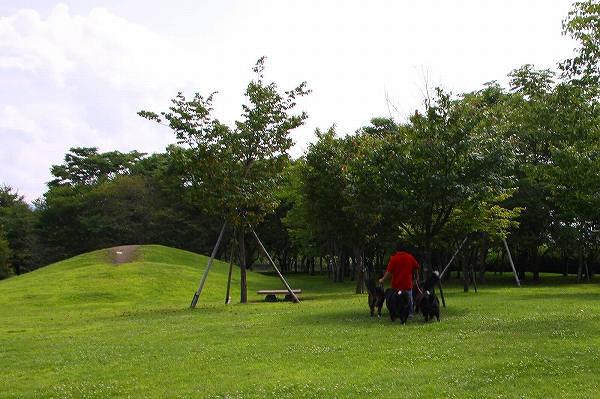 c0149178_106141.jpg