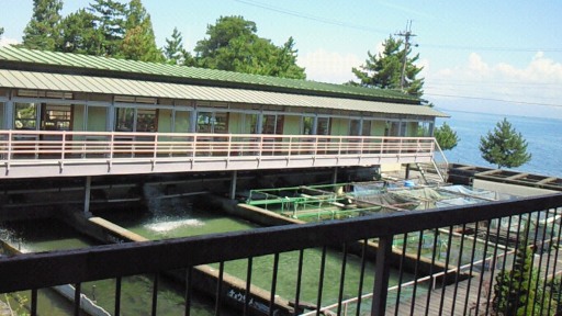 f0116278_2351258.jpg