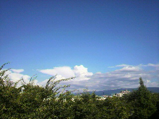 f0016981_4121142.jpg