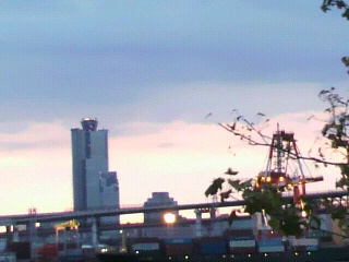 f0016981_46454.jpg
