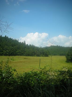 d0129083_15494922.jpg