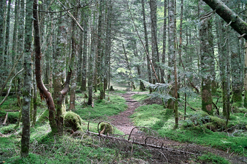 e0129083_2003158.jpg