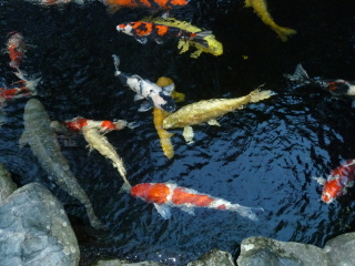 f0166694_21503862.jpg